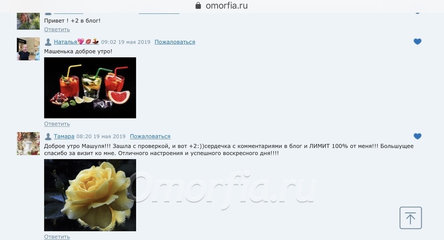 IMG_8855.jpeg