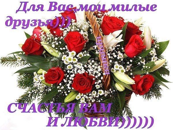 я вас люблю