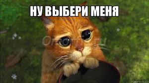 Image title