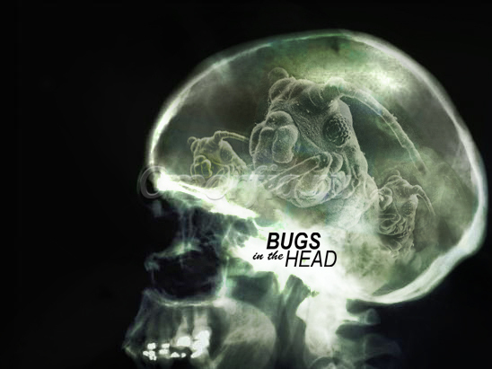 Image title
