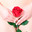 Ника 👩‍💻🌹