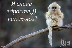 ·٠●•ღ✿ღ КСЕНИЯ