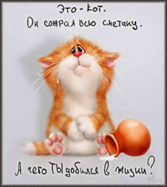 Kitty555