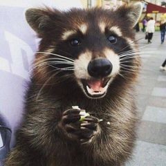 Анна777