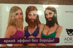 Катена