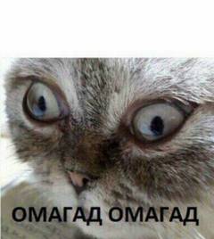 Жжжж
