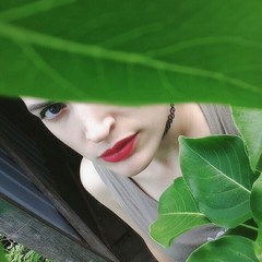 Вишня